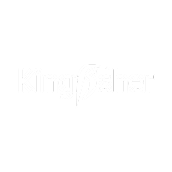 Kingfisher logo