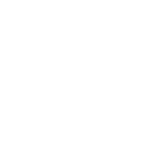 White City Place logo